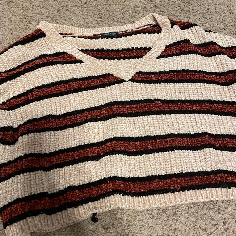 Wild fable striped v neck sweater